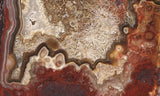 Mexican Crazy Lace Agate Rock Slab 402