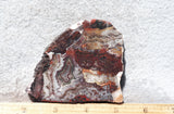 Mexican Crazy Lace Agate Rock Slab 470