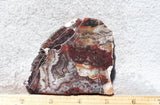 Mexican Crazy Lace Agate Rock Slab 470