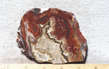 Mexican Crazy Lace Agate Rock Slab 466