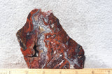 Mexican Crazy Lace Agate Rock Slab 483