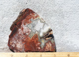 Mexican Crazy Lace Agate Rock Slab 460