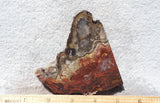 Mexican Crazy Lace Agate Rock Slab 486
