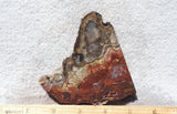 Mexican Crazy Lace Agate Rock Slab 486