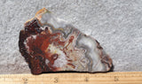 Mexican Crazy Lace Agate Rock Slab 476