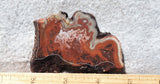 Mexican Crazy Lace Agate Rock Slab 475