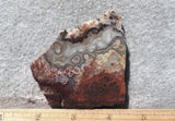 Mexican Crazy Lace Agate Rock Slab 391