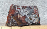 Mexican Crazy Lace Agate Rock Slab 481