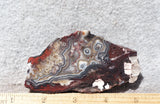 Mexican Crazy Lace Agate Rock Slab 442