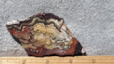Mexican Crazy Lace Agate Rock Slab 395
