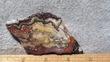 Mexican Crazy Lace Agate Rock Slab 395