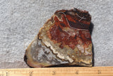 Mexican Crazy Lace Agate Rock Slab 488