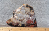 Mexican Crazy Lace Agate Rock Slab 393