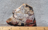 Mexican Crazy Lace Agate Rock Slab 393