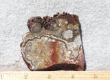 Mexican Crazy Lace Agate Rock Slab 459