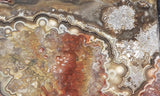 Mexican Crazy Lace Agate Rock Slab 459