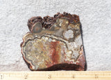 Mexican Crazy Lace Agate Rock Slab 459