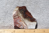 Mexican Crazy Lace Agate Rock Slab 477