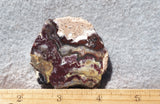Mexican Crazy Lace Agate Rock Slab 443