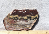 Mexican Crazy Lace Agate Rock Slab 441