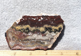 Mexican Crazy Lace Agate Rock Slab 441