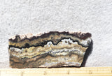 Mexican Crazy Lace Agate Rock Slab 444