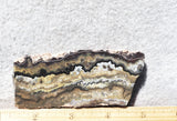 Mexican Crazy Lace Agate Rock Slab 444