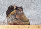 Mexican Crazy Lace Agate Rock Slab 490