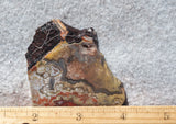 Mexican Crazy Lace Agate Rock Slab 490