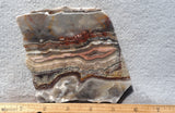 Laguna Lace Agate Rock Slab 439