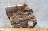 Laguna Lace Agate Rock Slab 438