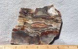 Laguna Lace Agate Rock Slab 450