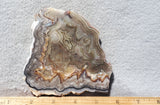 Laguna Lace Agate Rock Slab 447