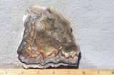 Laguna Lace Agate Rock Slab 447