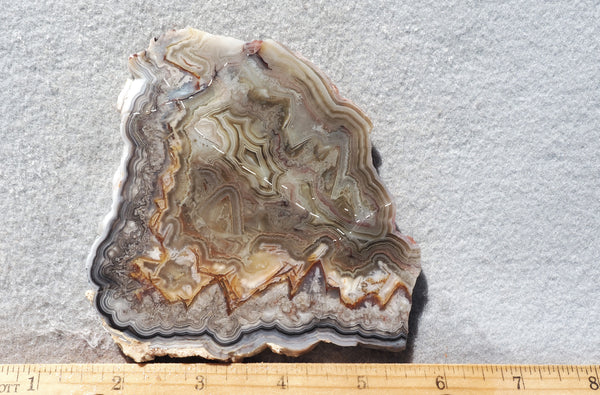 Lacy Rocks Slabs Laguna Lace Agate Rock Slab 447 – DD Rocks