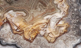 Laguna Lace Agate Rock Slab 451
