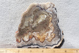 Laguna Lace Agate Rock Slab 451