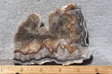 Laguna Lace Agate Rock Slab 449