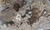 Laguna Lace Agate Rock Slab 446