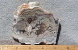 Laguna Lace Agate Rock Slab 446