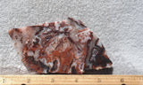 Laguna Lace Agate Rock Slab 453