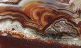 Laguna Lace Agate Rock Slab 448