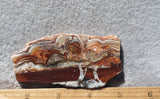 Laguna Lace Agate Rock Slab 448