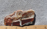 Laguna Lace Agate Rock Slab 442