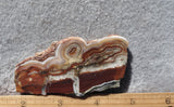Laguna Lace Agate Rock Slab 442