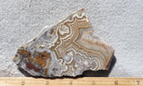 Laguna Lace Agate Rock Slab 457