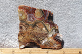 Laguna Lace Agate Rock Slab 452