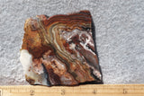 Laguna Lace Agate Rock Slab 444