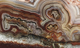 Laguna Lace Agate Rock Slab 443