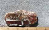 Laguna Lace Agate Rock Slab 443